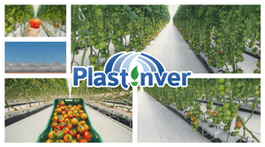 Sales Hub Automation and Process Alignment for Plastinver Case Study